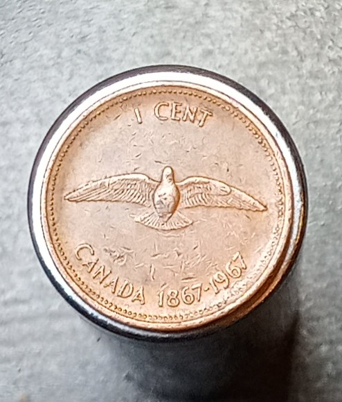 Post-Your-Coins-Representing-The-Animal-Kingdom.